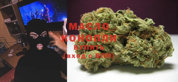 молекула духа Медногорск